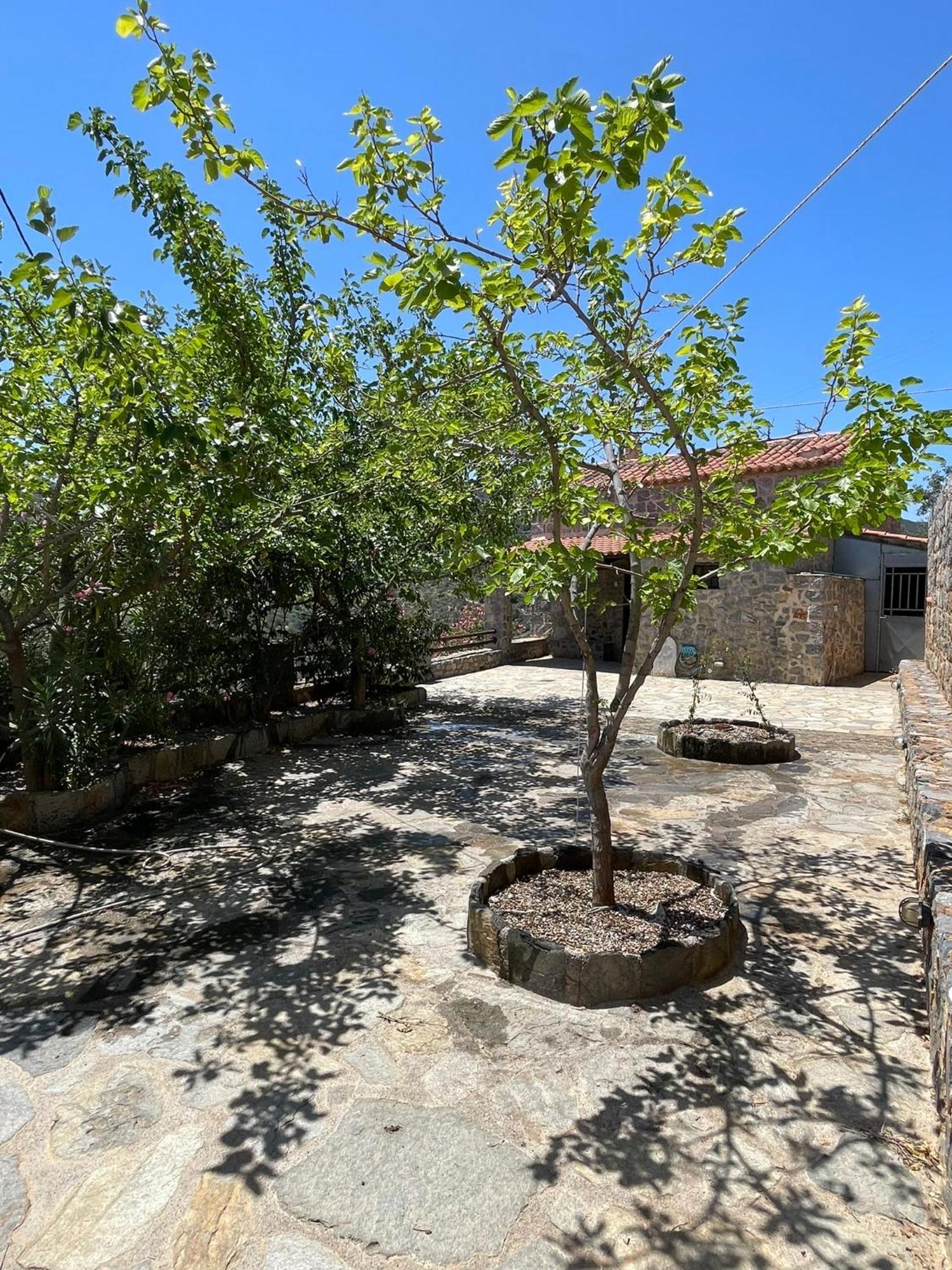 Guesthousekamara Monemvasia Exterior photo
